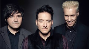 die ärzte: Open-Air Konzert im nächsten Jahr geplant